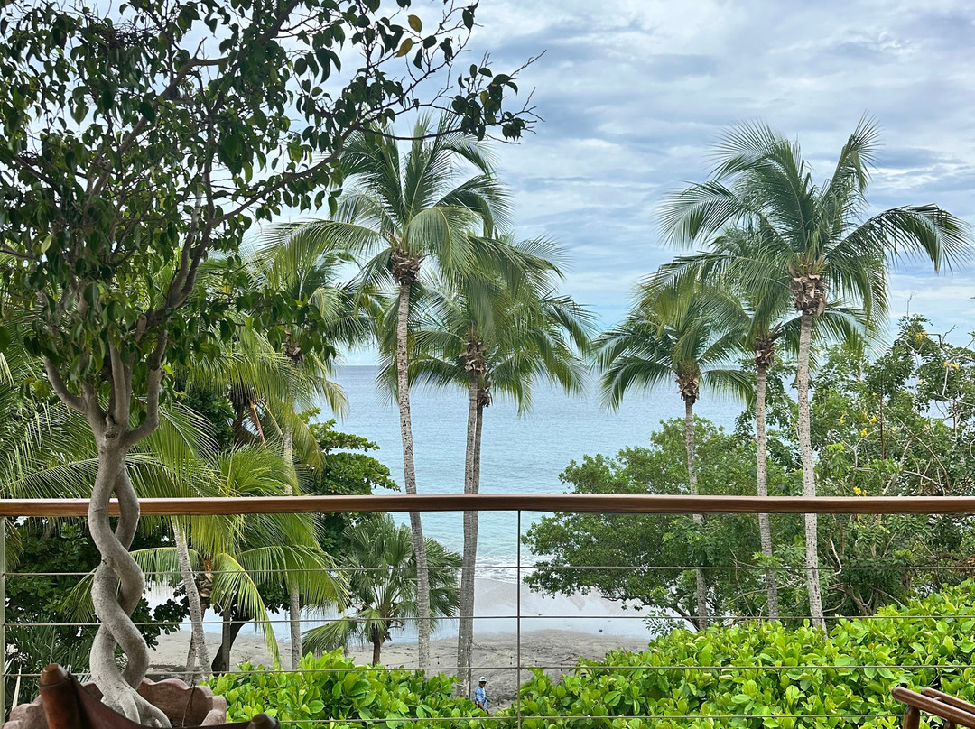 Hotel la Gaviota Tropical主图