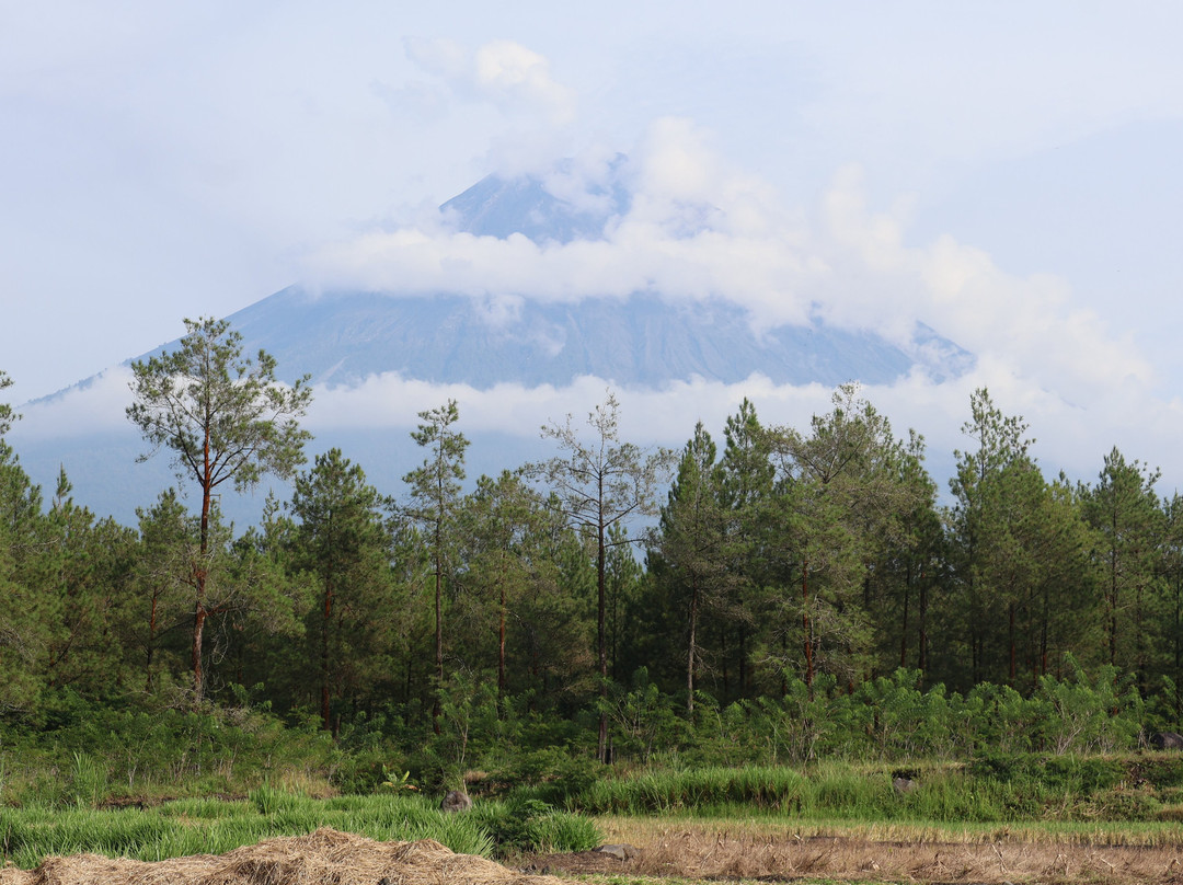 Mount Semeru Volcano-玛琅必去景点
