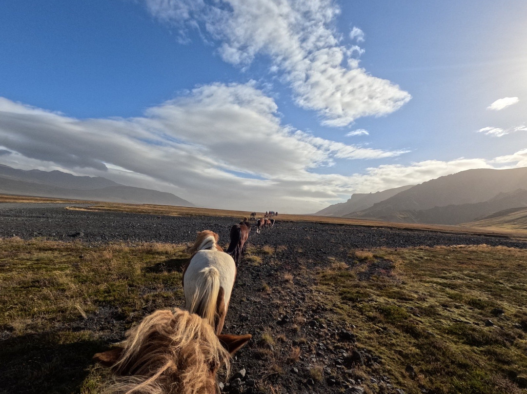 Eldhestar Volcano Horses-Olfus必去景点