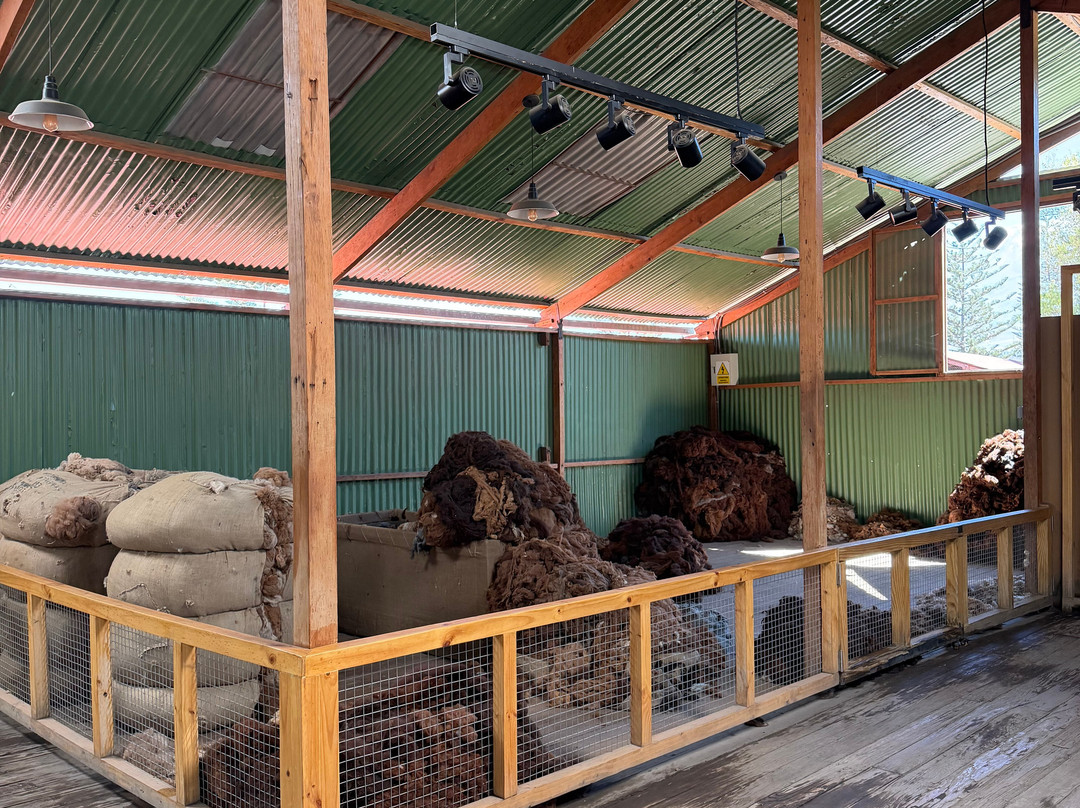 Mundo Alpaca Arequipa-阿雷基帕必去景点