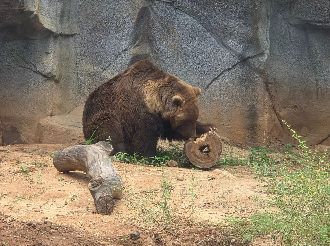 Riverbanks Zoo and Garden-哥伦比亚必去景点