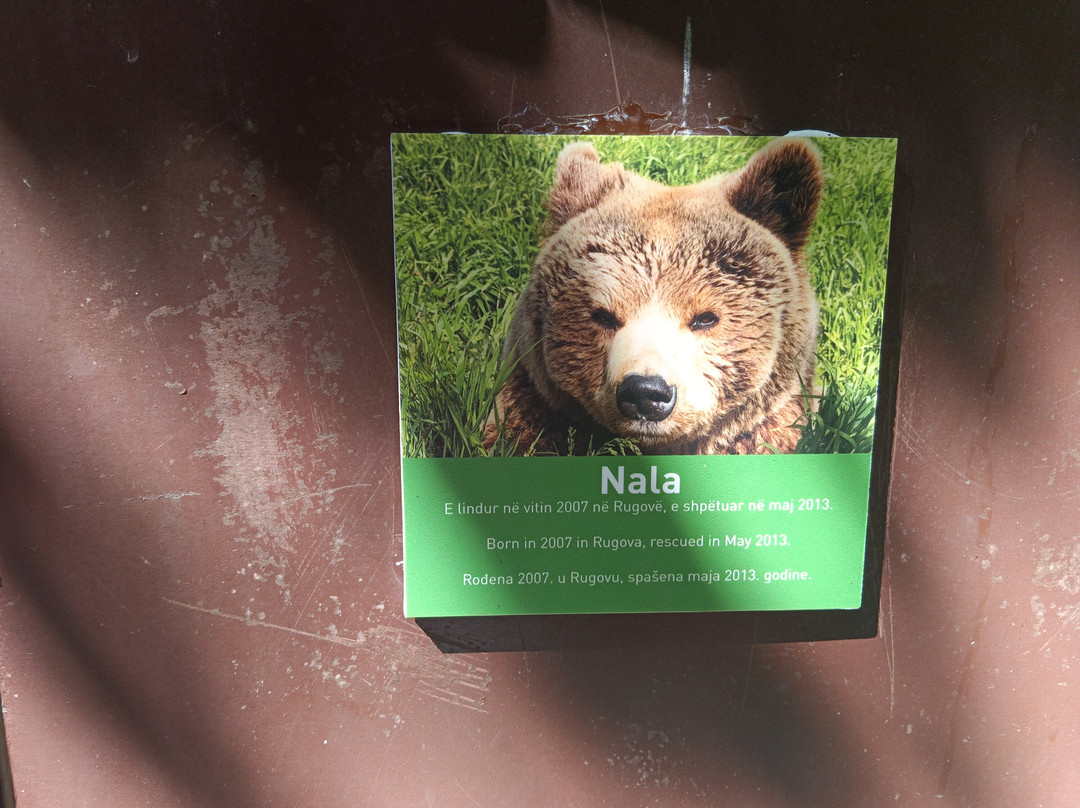 BEAR SANCTUARY Prishtina-普里什蒂纳必去景点