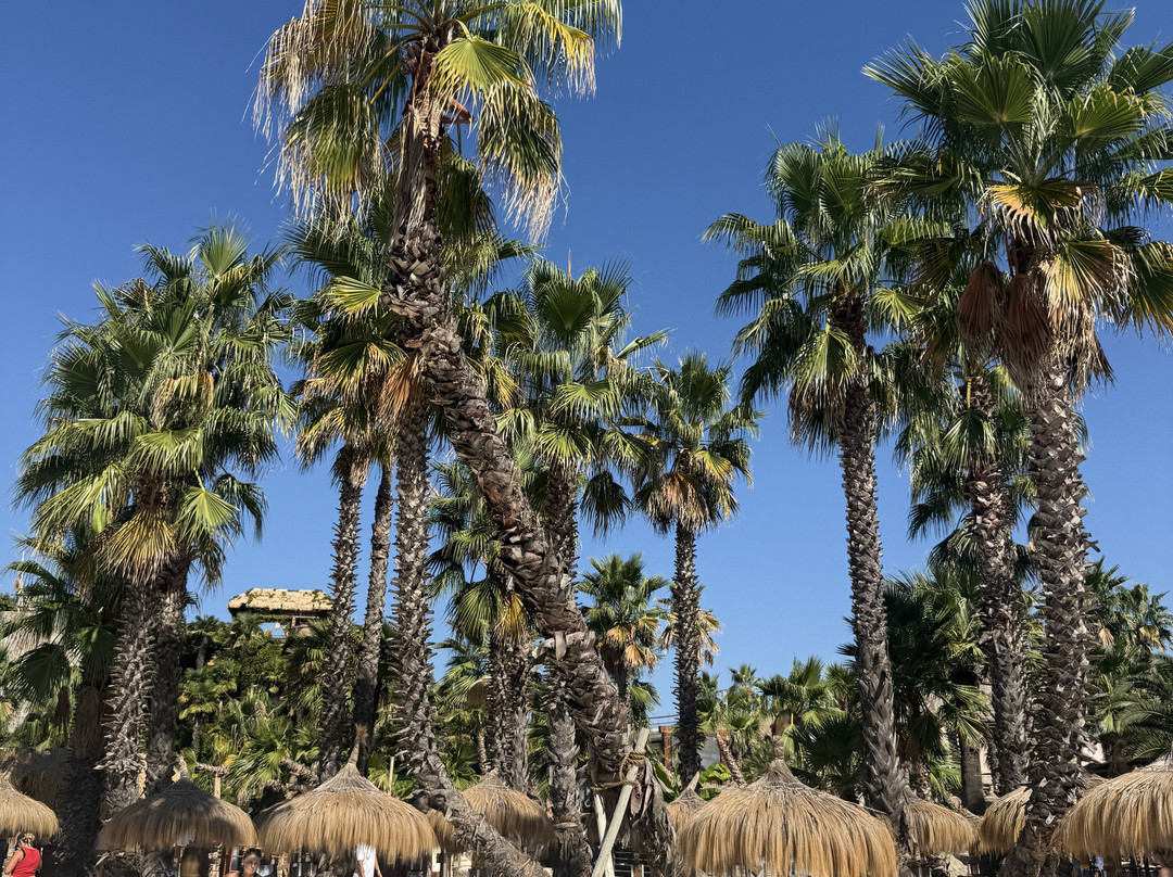 Caribe Bay, Jesolo-Lido di Jesolo必去景点