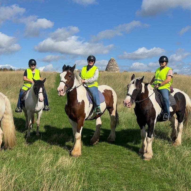 Derbyshire Pony Trekking-Mansfield必去景点