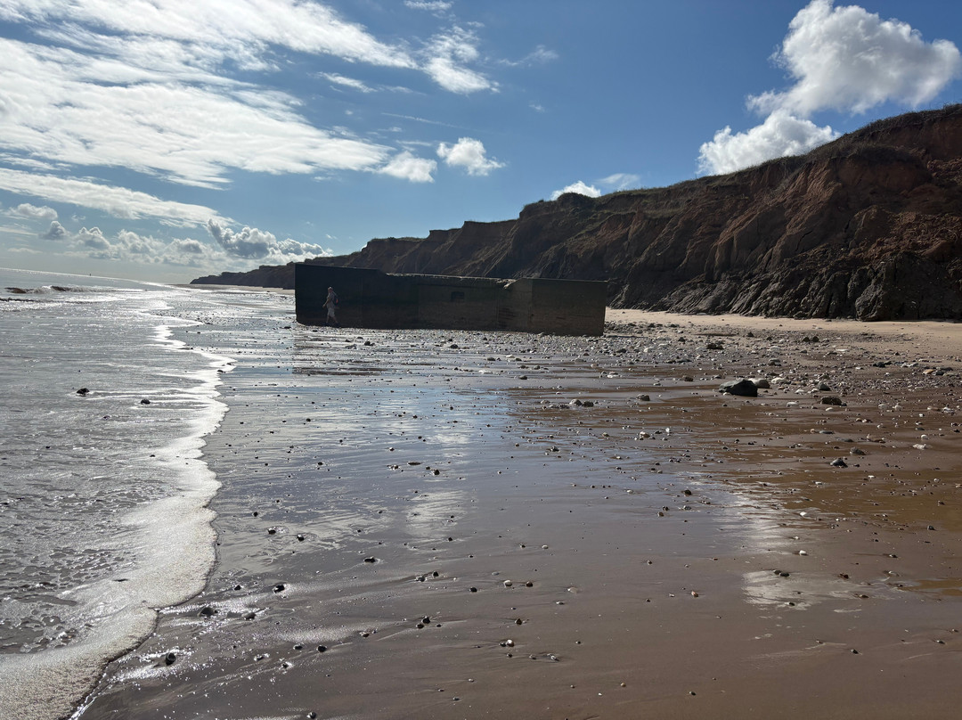 Mappleton Beach-Mappleton必去景点