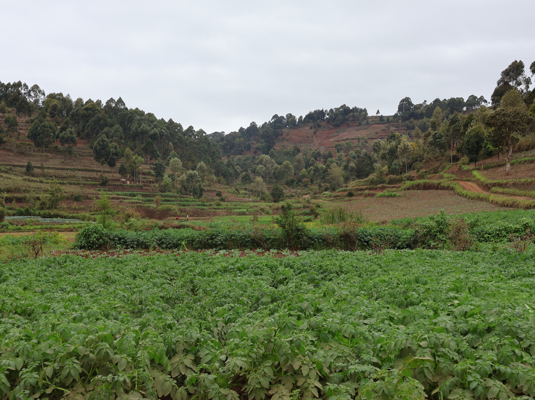 Magamba Eco-cultural Tourism-卢绍托必去景点
