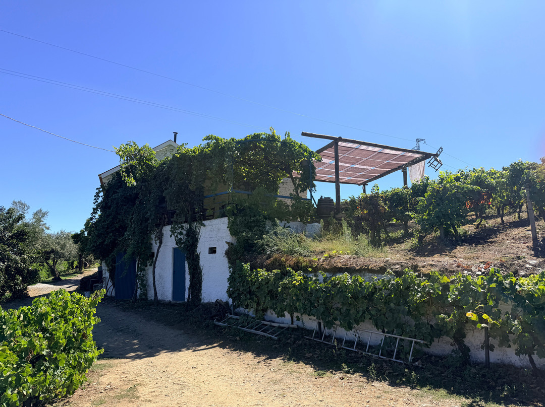 Quinta da Fonte do Milho-Provesende必去景点