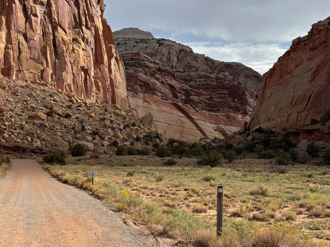 Capitol Gorge Trail-圆顶礁国家公园必去景点