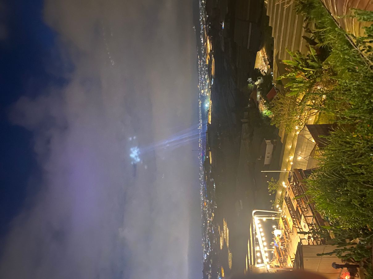 岘港莫荣安豪华酒店-旅行者