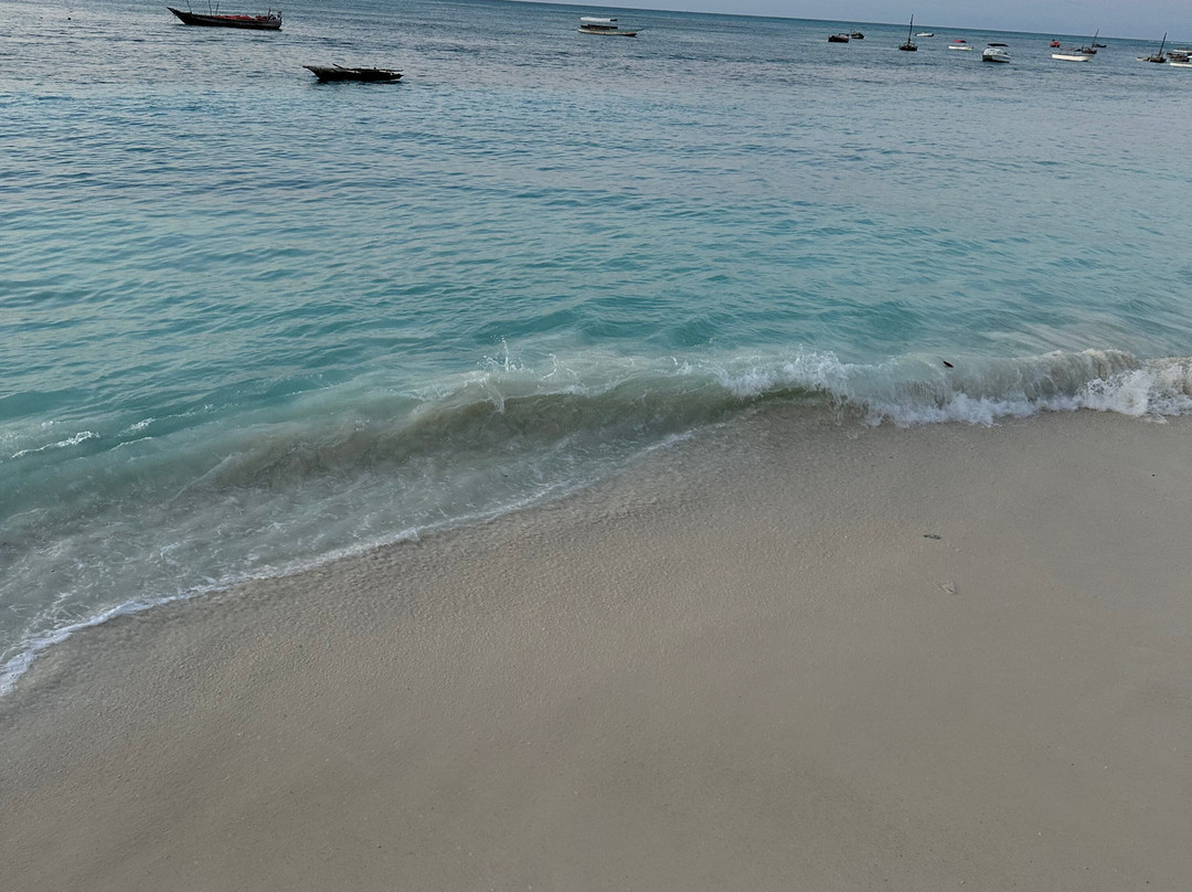 Nungwi Beach-孥归必去景点