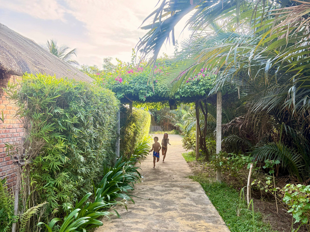 ENSO Retreat Hoi An - Rediscovery & Serenity主图