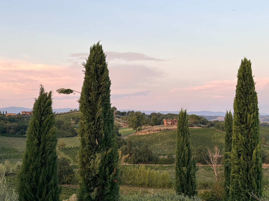 Tenuta Golo - Luxury Vineyard Suites in Montepulciano主图