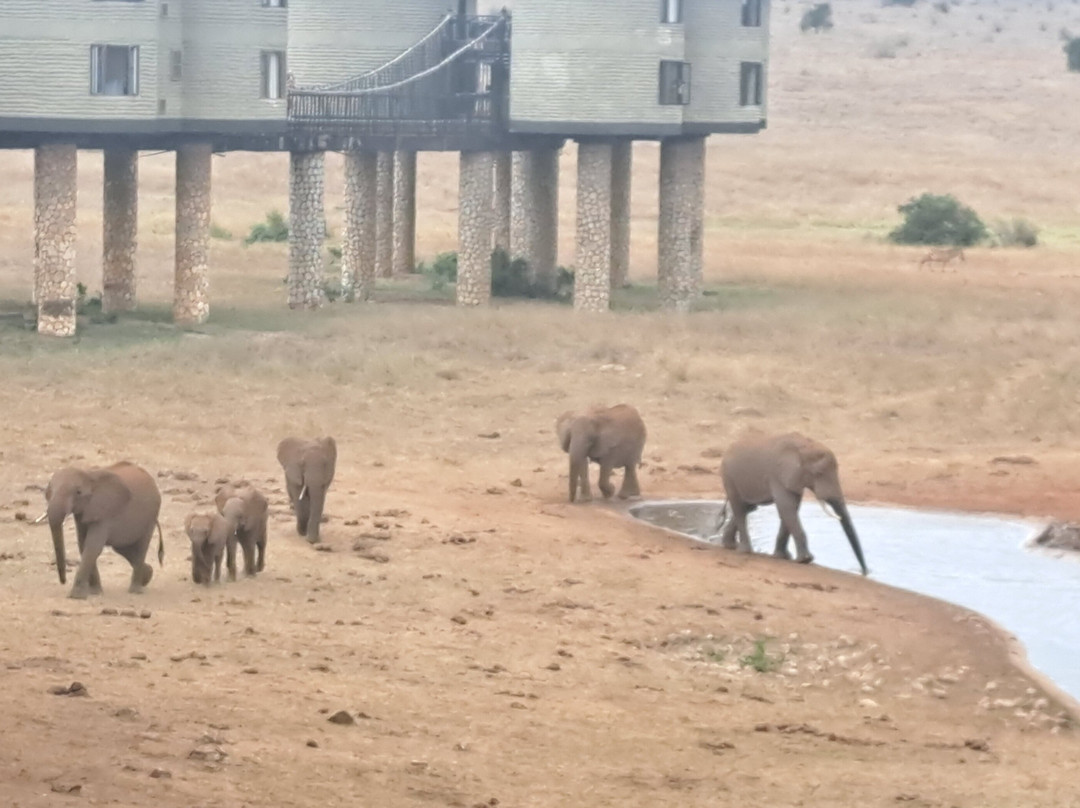 萨尔特利克野生动物园小屋主图