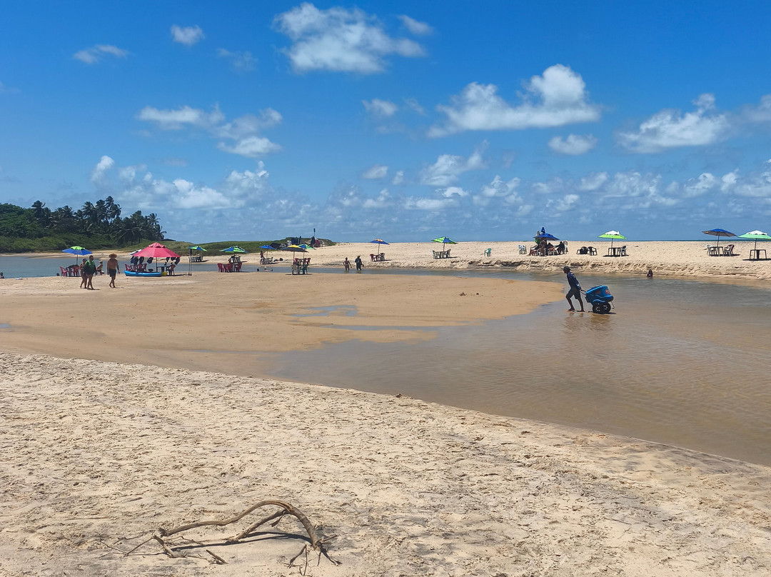 Tabatinga Beach-Conde必去景点