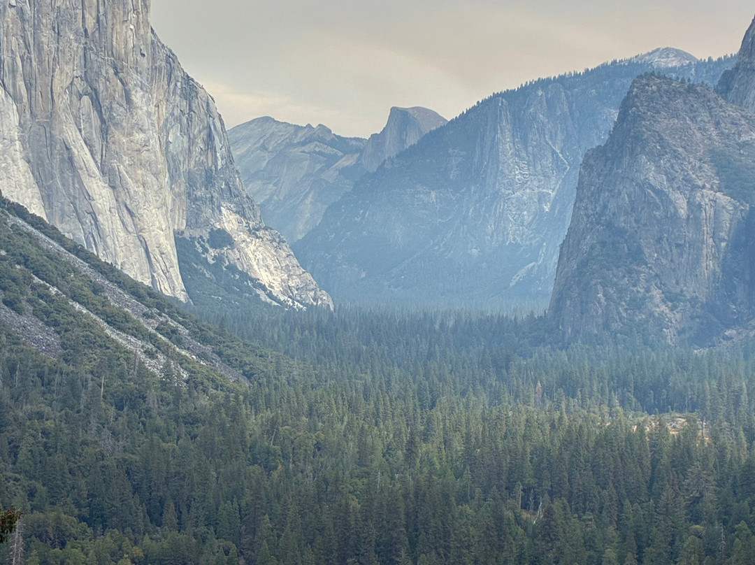 Yosemite 360 Tours-菲什营必去景点
