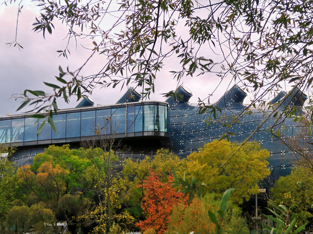 Kunsthaus Graz-格拉茨城必去景点