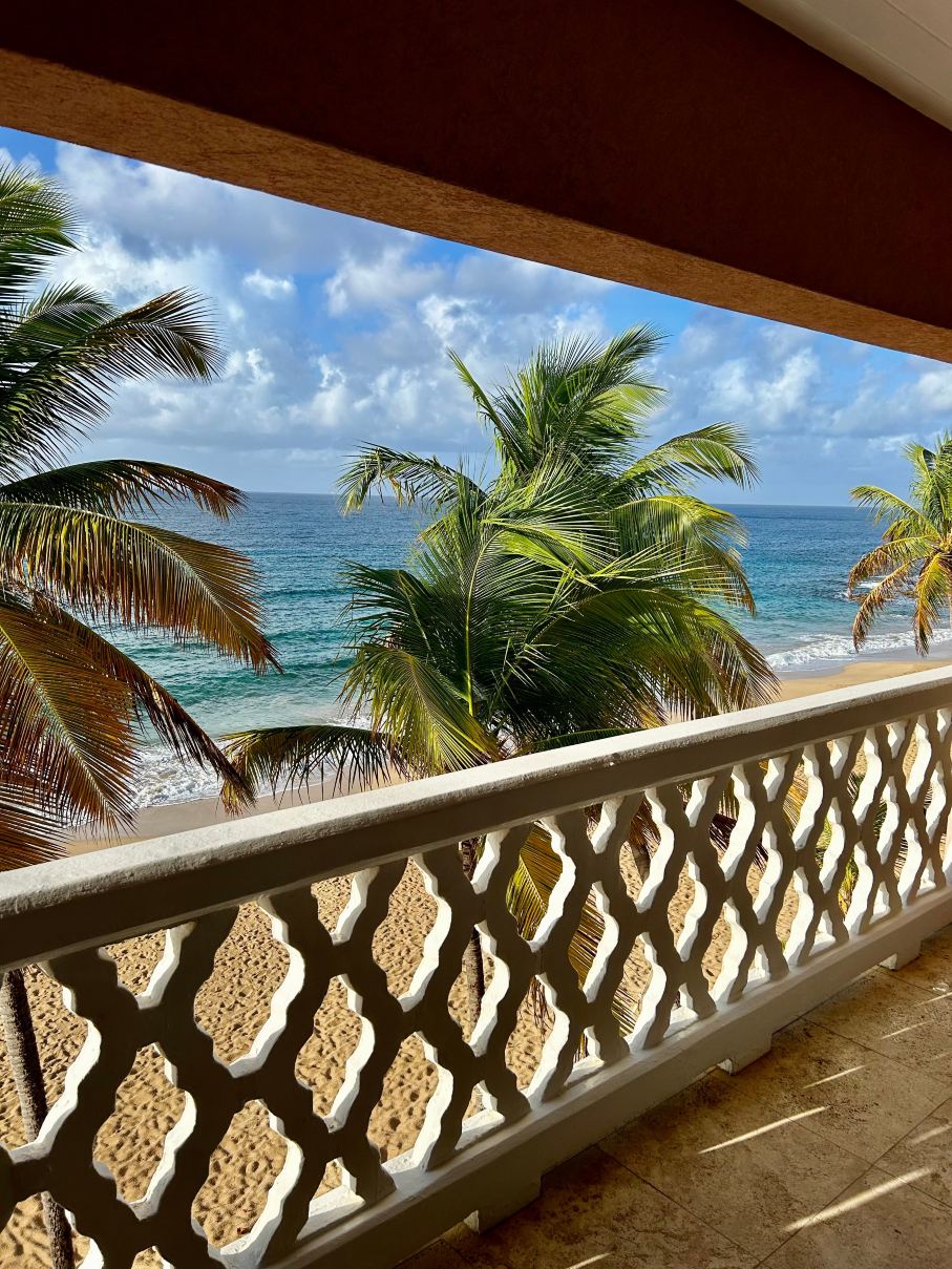 Curtain Bluff Resort-旅行者
