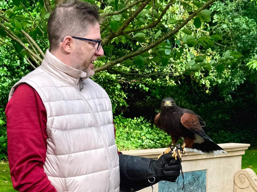 Ireland's School of Falconry-康镇必去景点