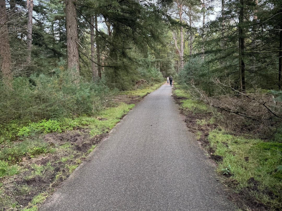 De Hoge Veluwe National Park-Gelderland Province必去景点