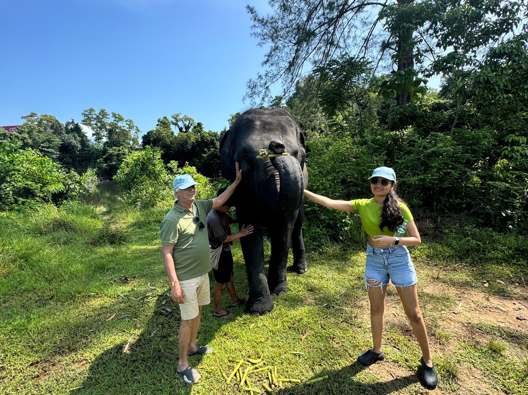 The Lake Phuket Elephant Home-Thep Krasatti必去景点