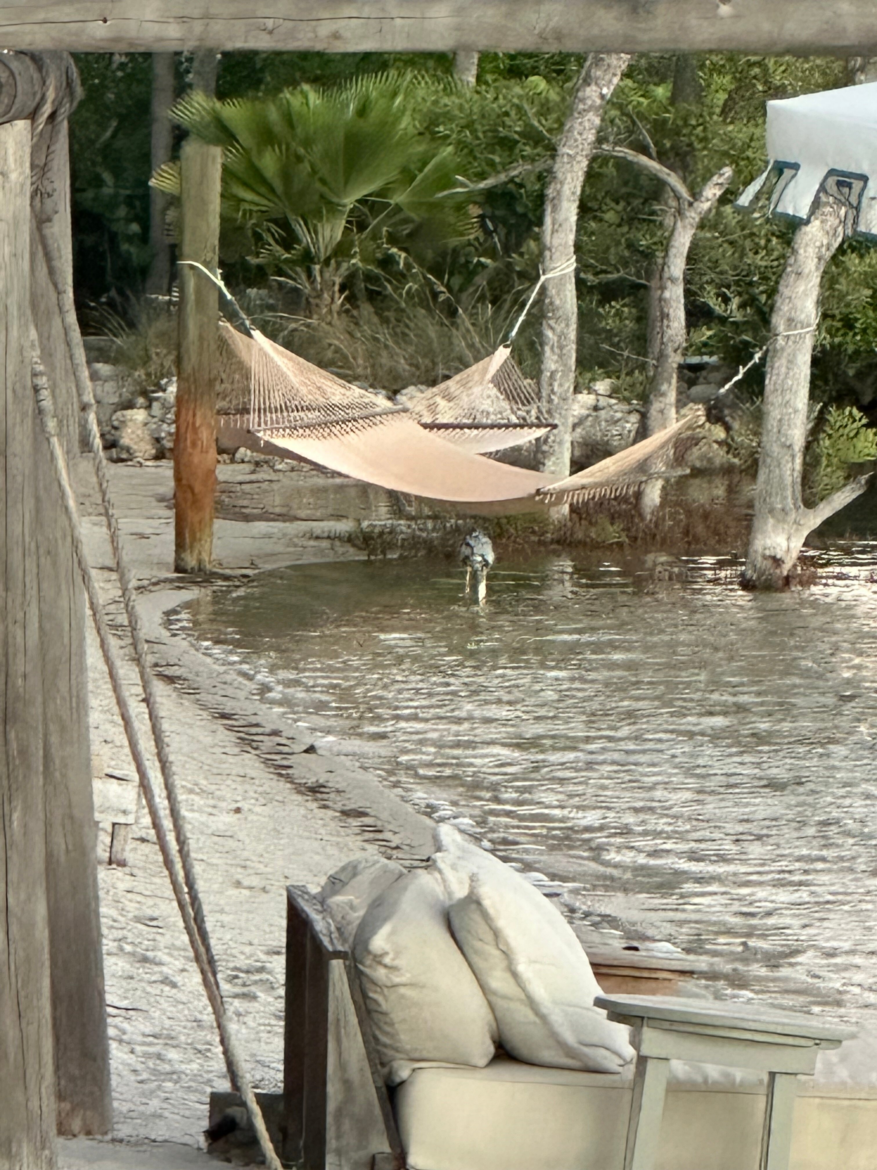 Little Palm Island-旅行者