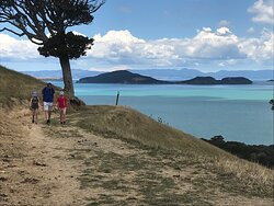 Duder Regional Park-Howick必去景点