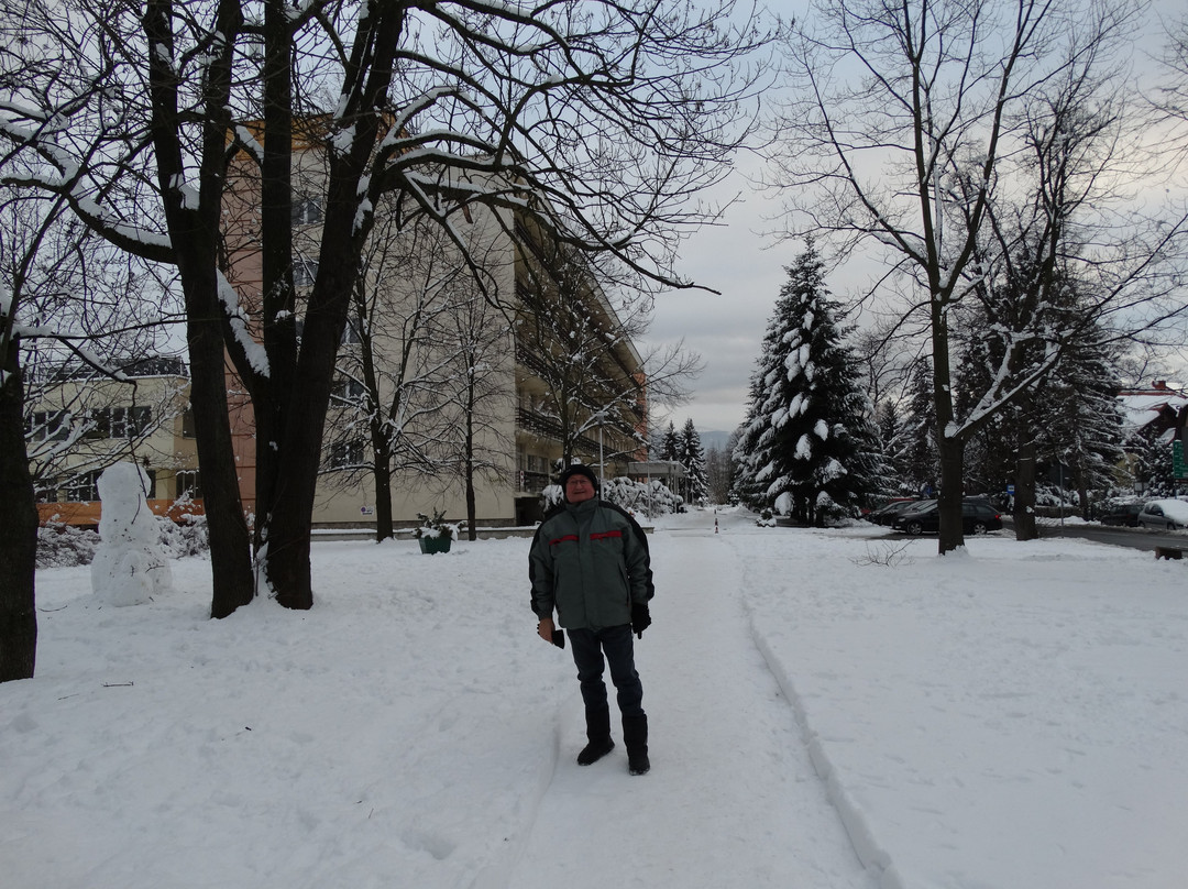 Podgorzyn旅游攻略图片