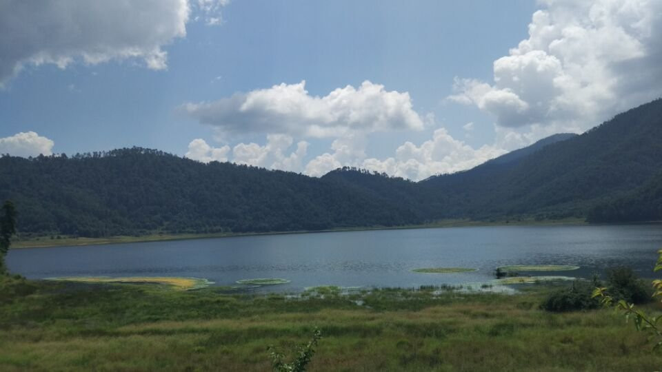 云南天池湿地景点图片