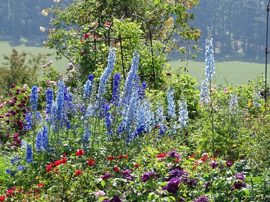 Botanischer Garten der Universität Ulm景点图片