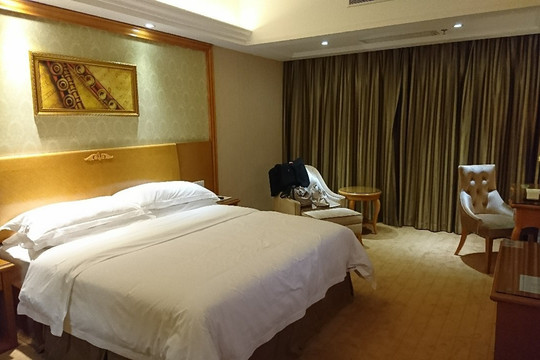 维也纳酒店深圳国王店主图