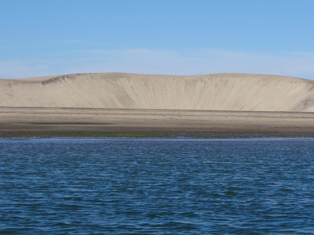 Magdalena Bay-下加利福尼亚州必去景点