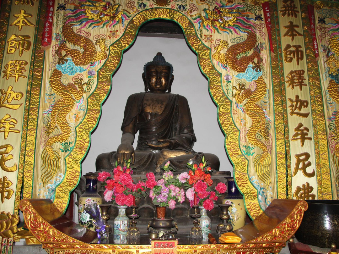 戒台寺古松-北京市必去景点