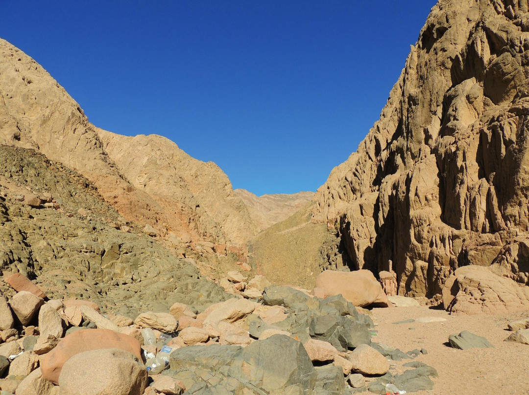 King Safari Dahab St. Catherine/Mt. Sinai Trip - Day Tours景点图片