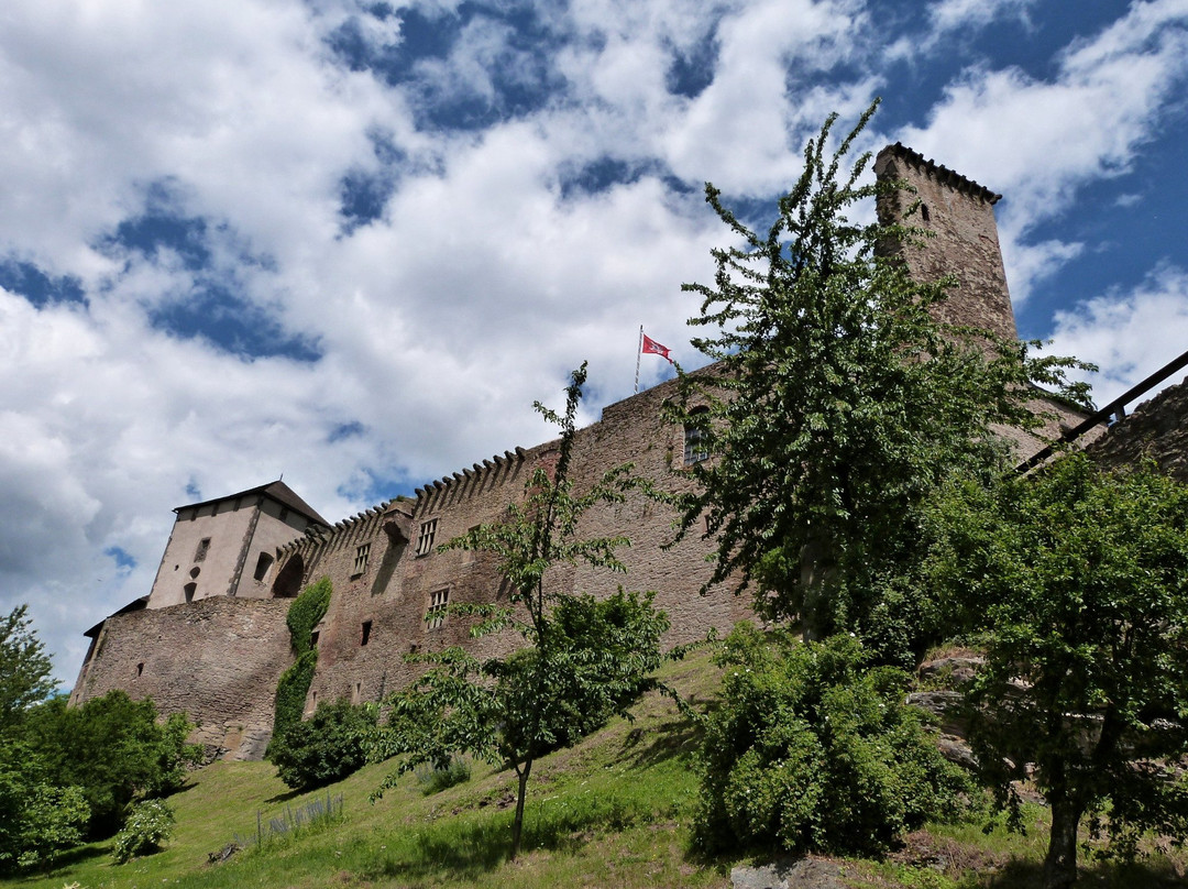 Státní hrad Lipnice景点图片