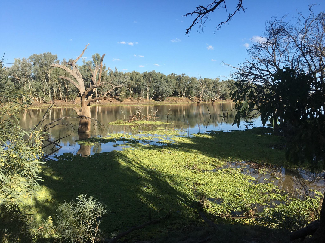 Cunnamulla Bushlands景点图片