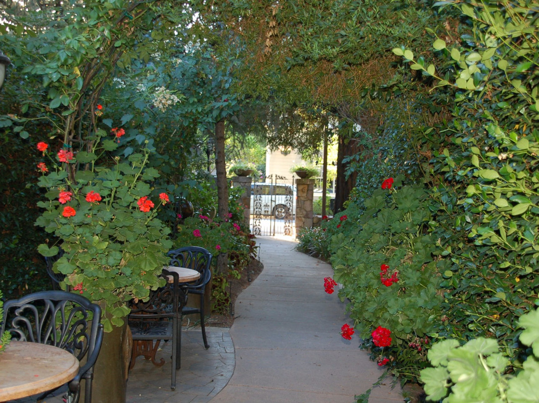 Romeo Vineyards & Cellars LLC景点图片