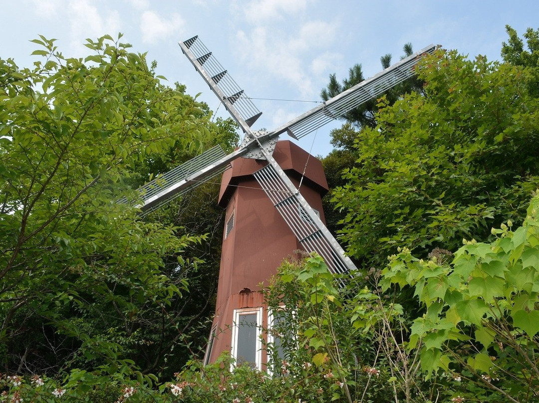 松茂町旅游景点-Kitajima Tulip Park