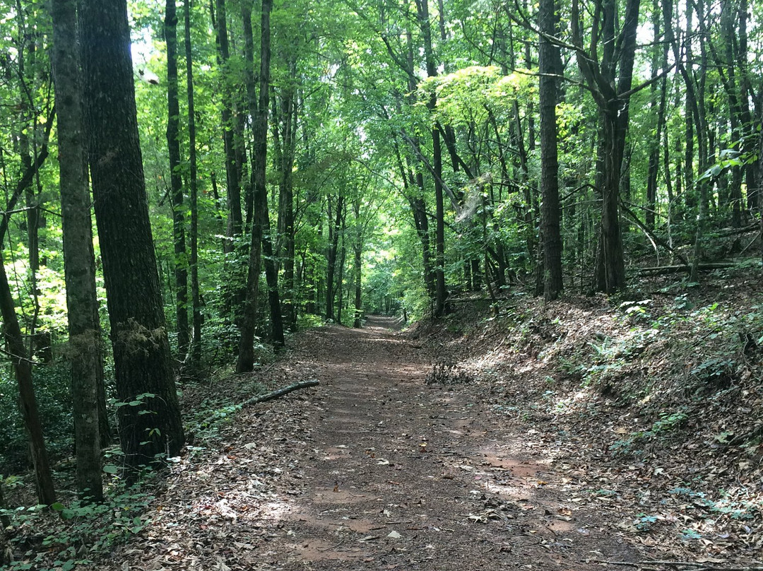 Bradley Nature Preserve at Alexander's Ford