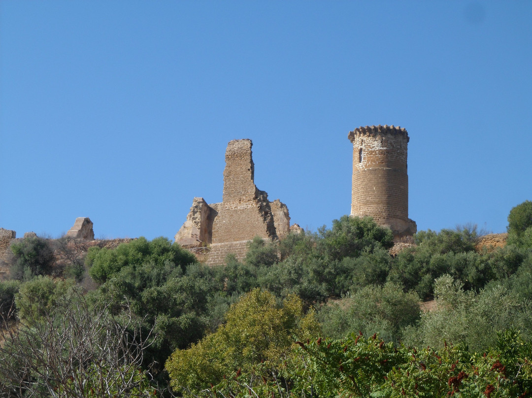 Castello di Poggiodiana景点图片