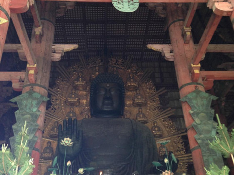 Explorer Tours-奈良市必去景点