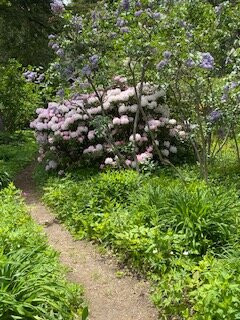 McLaughlin Gardens景点图片