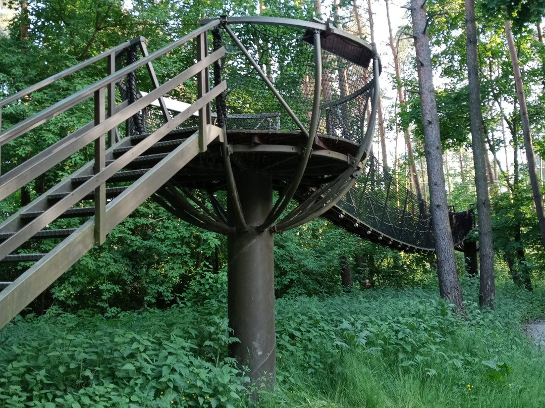Park linowy i ścianka wspinaczkowa景点图片