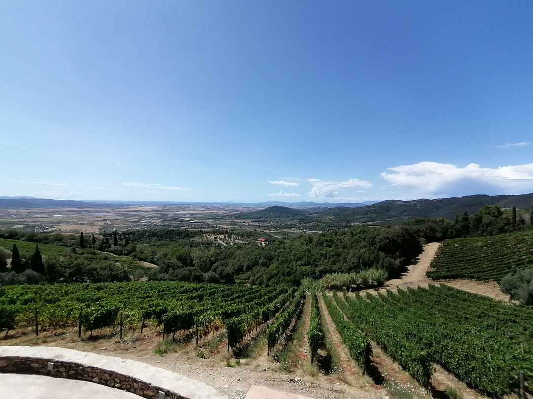 Azienda Agricola I Mandorli景点图片