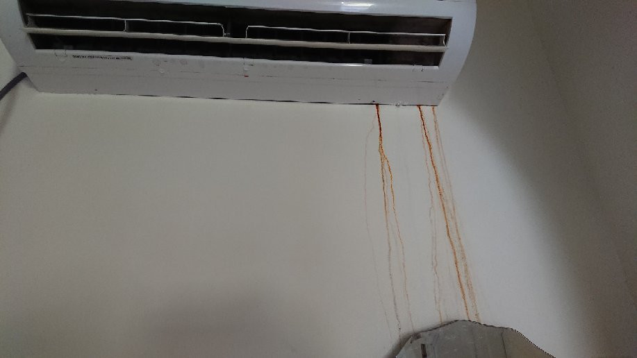 布谷鸟酒吧酒店和餐厅主图