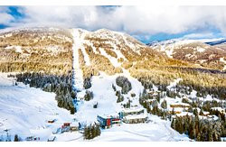 The Josie Hotel, Autograph Collection主图