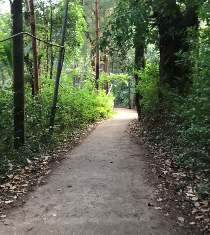 Mayookham Resort主图