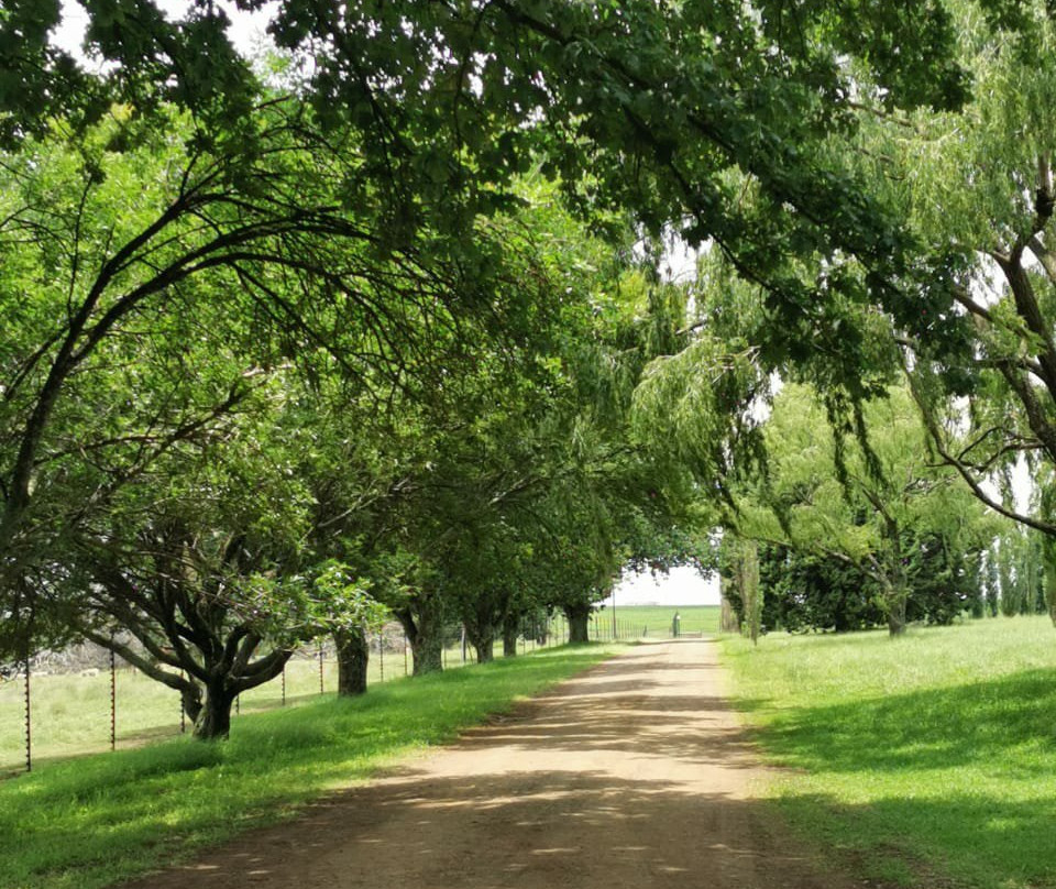 Baris Monger-克拉伦斯必去景点