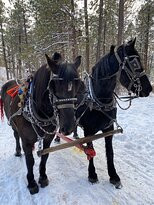 Rapp Corral-杜兰戈必去景点