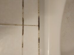 Timberland Inn & Suites主图