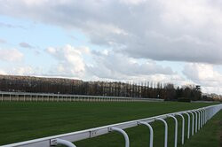Hippodrome de Clairefontaine景点图片